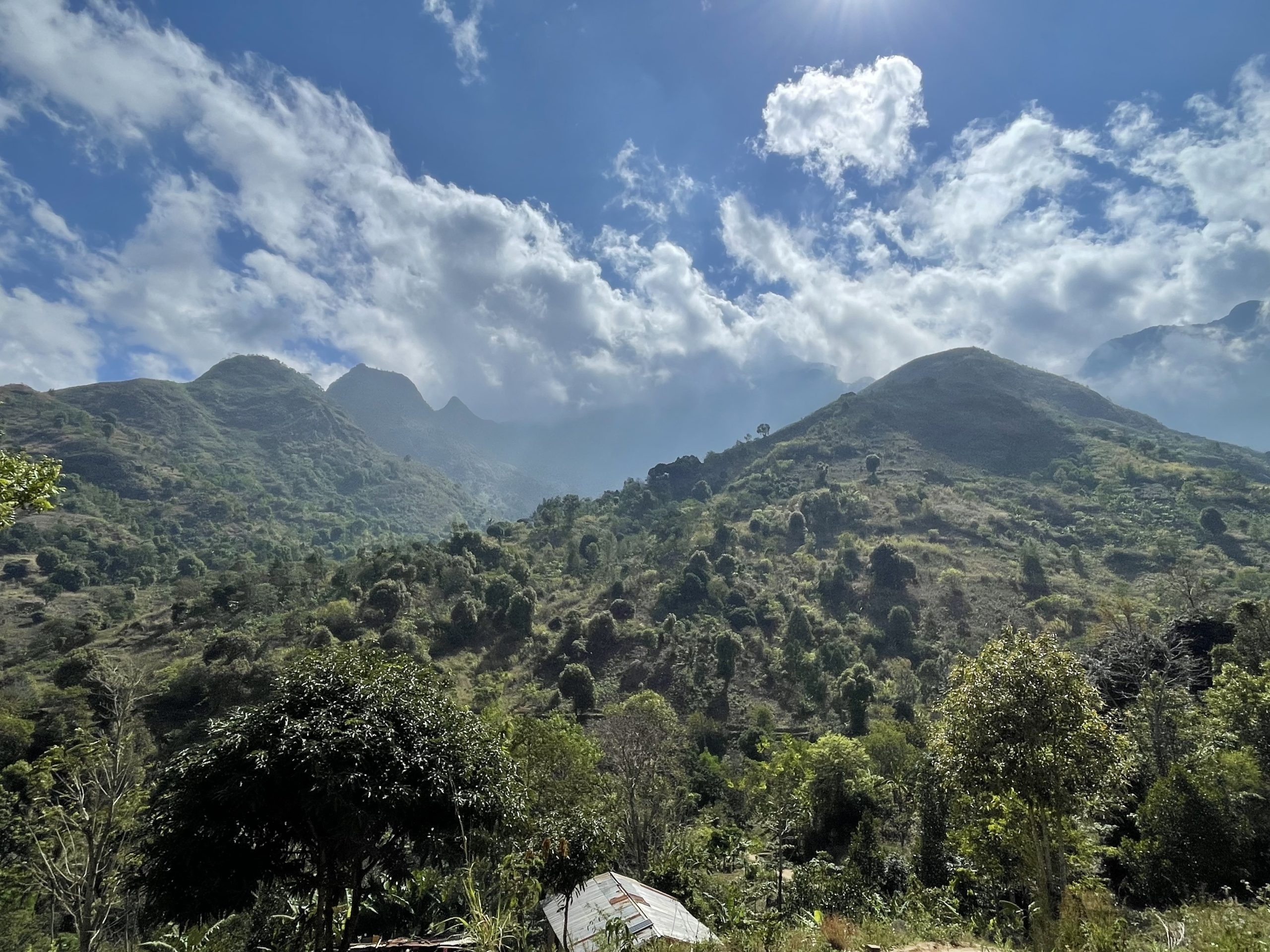 PTA assisted Class Photo Day at MIS